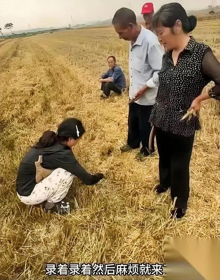 襄阳割麦讹人这事我越想越不对劲其实农机手本来有三次止损机会你信吗？最