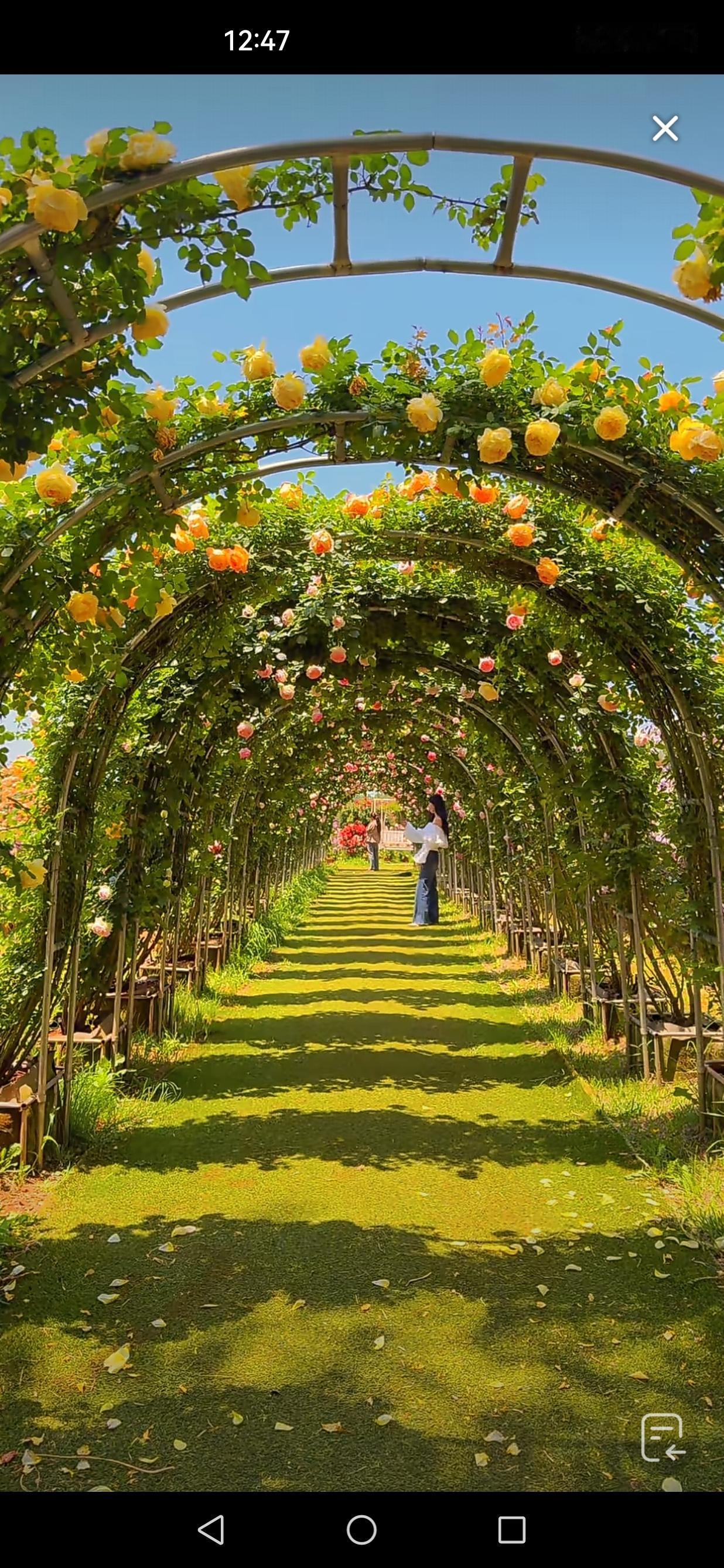 能分享一下你相册里的风景照片吗随手拍～