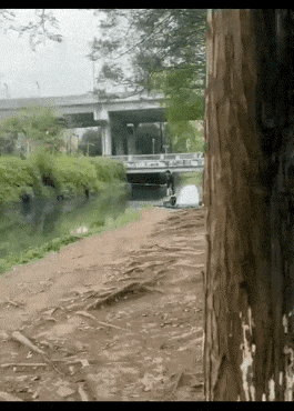 恩爱的夫妻，让你十分羡慕[赞]