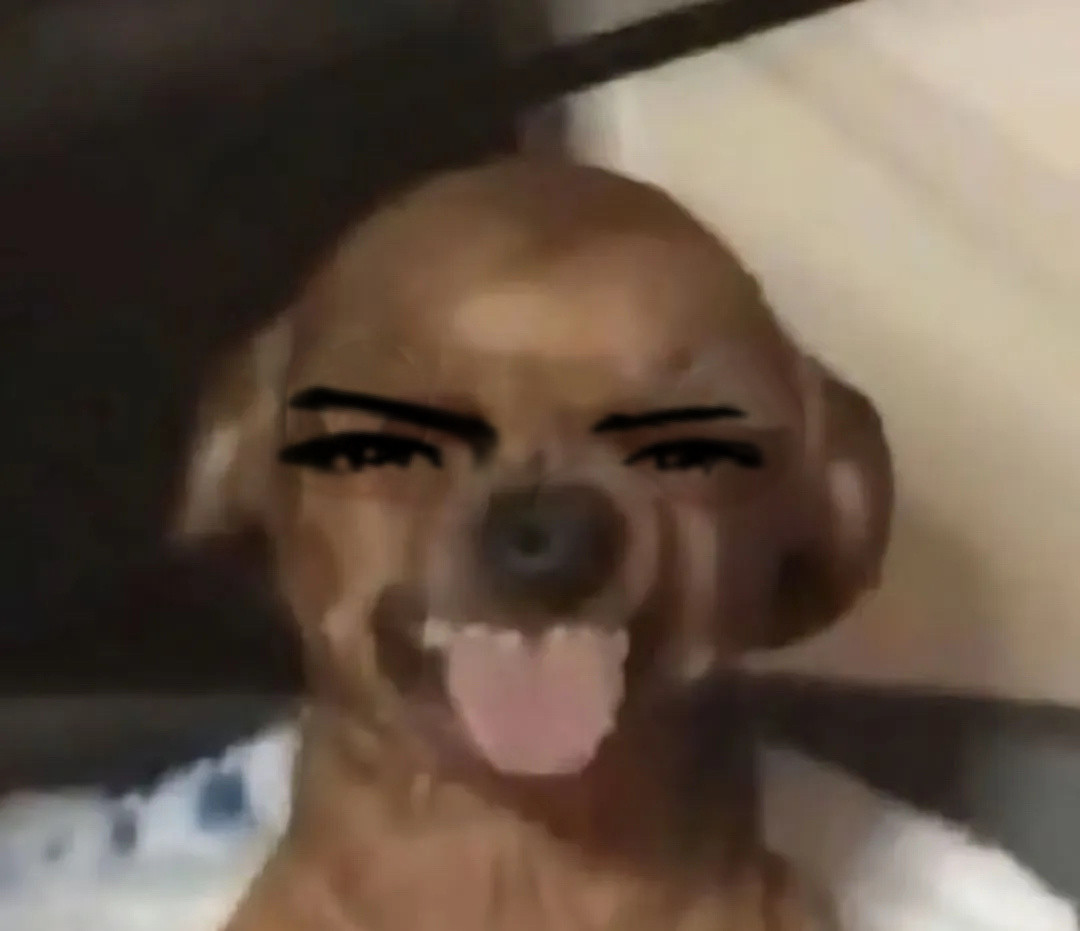 终于点到哈哈哈哈哈哈