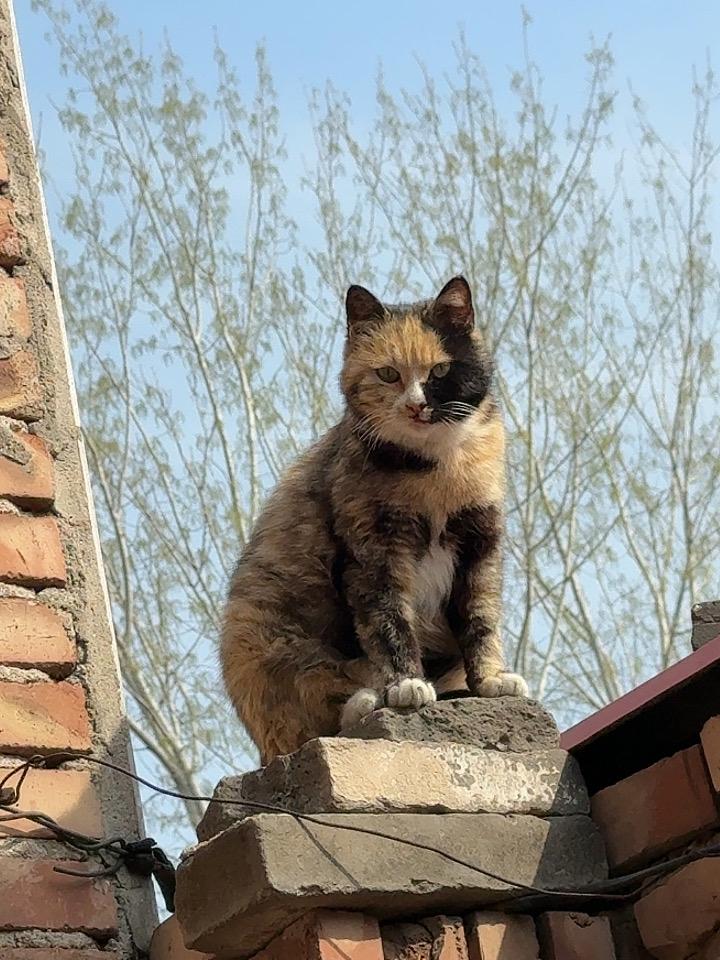 单位里，我当了30年领导，退休金24000，发现能被提拔上去的人，不是能力有多强