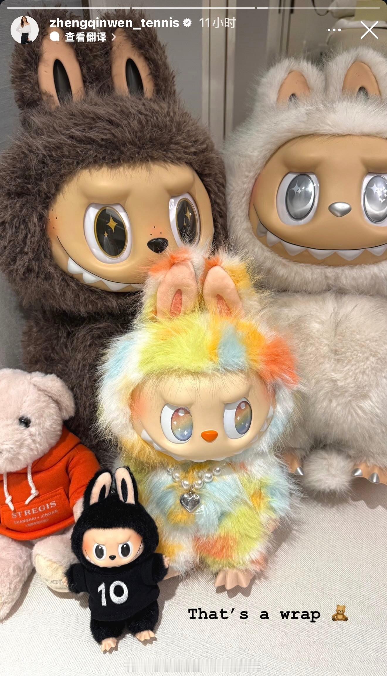 【郑钦文秀自己的labubu】隐藏款很吸睛反正这个隐藏款我是没有