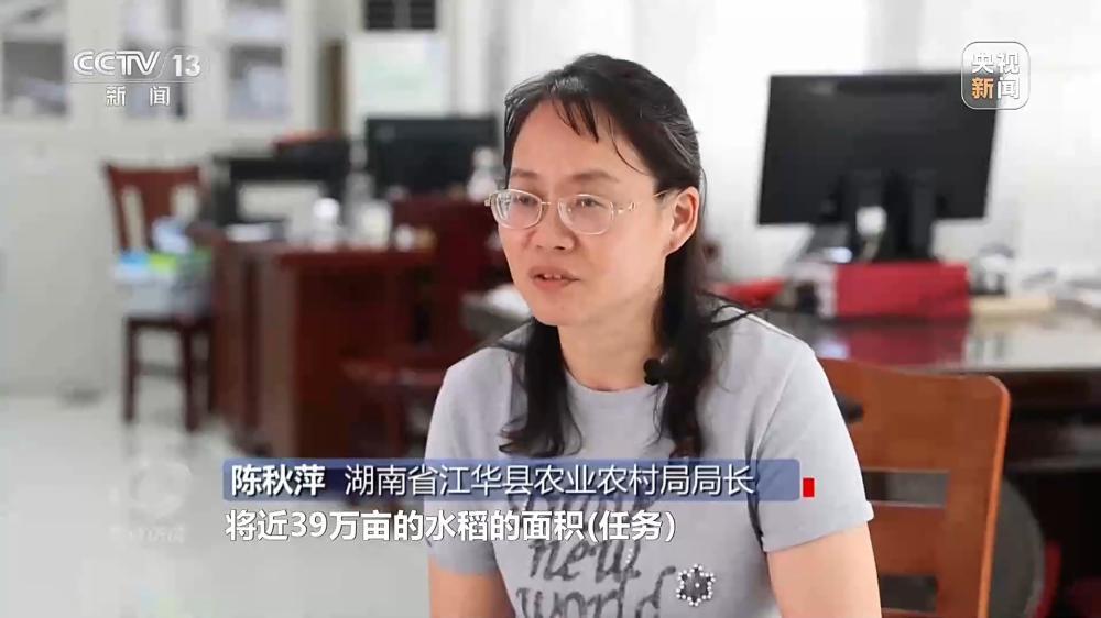 央视曝光“水稻虚假台账”, 湖南永州回应: 全面核查整改