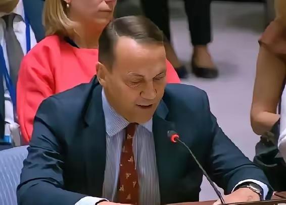 波兰外交部长西科尔斯基：我对俄罗斯政府只有一个请求：如果再有导弹或飞机未经允许