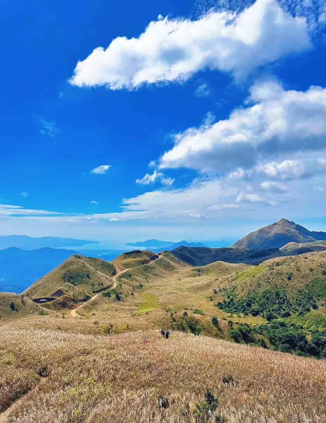 深圳周边❗️这是跟风蕞成功的户外徒步线谁说广东没有秋天？每年十月尾，惠州大南