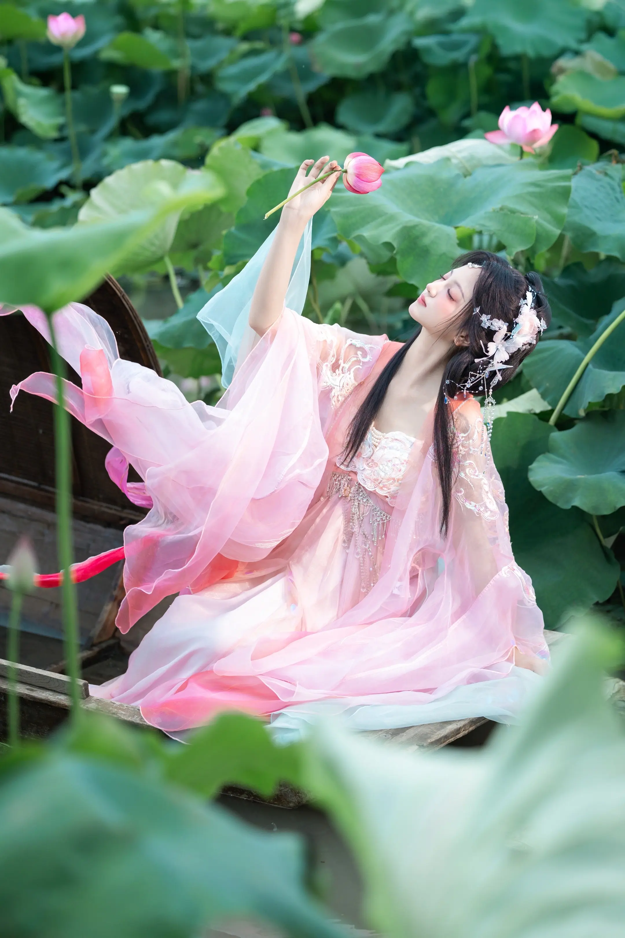 夏日荷花🪷。