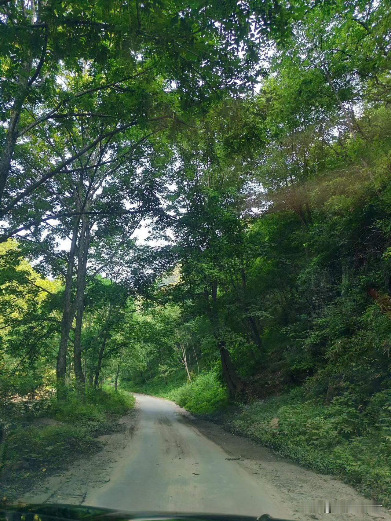 发现没有养老不要指望儿子做到这四点养老无忧第一有存钱的观念，手里有