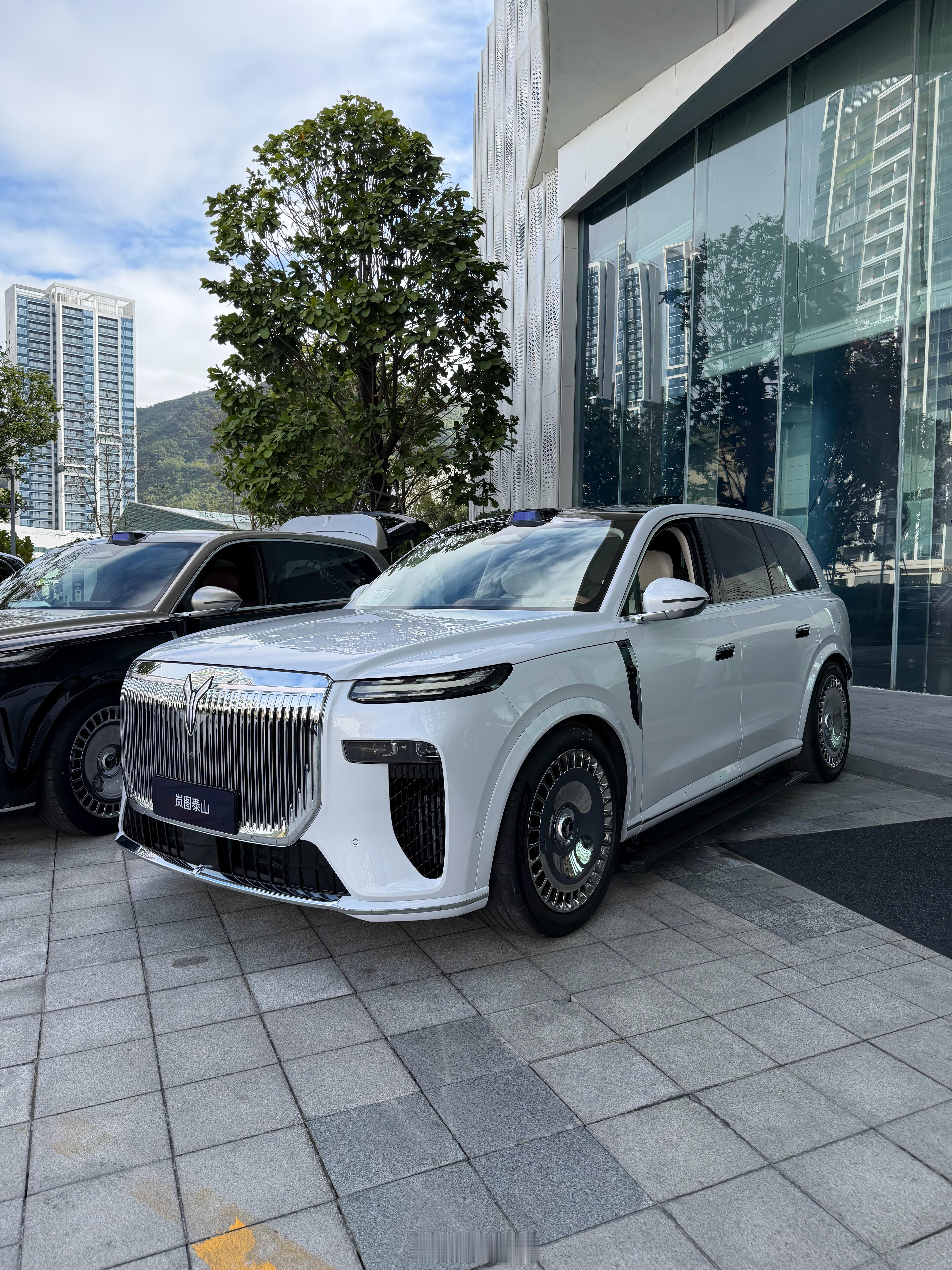 来试今年压轴登场的9字辈旗舰了，泰山的颜色都很有质感，白色最显大，还有两款双拼色