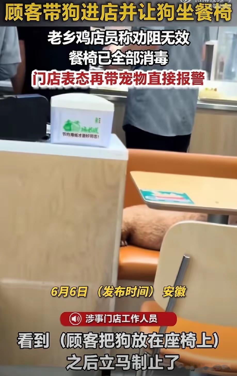 那只跳上餐桌舔蛋糕的小狗，只用了几秒钟，就让宠物难再进入饭店了，你认为宠物可以进