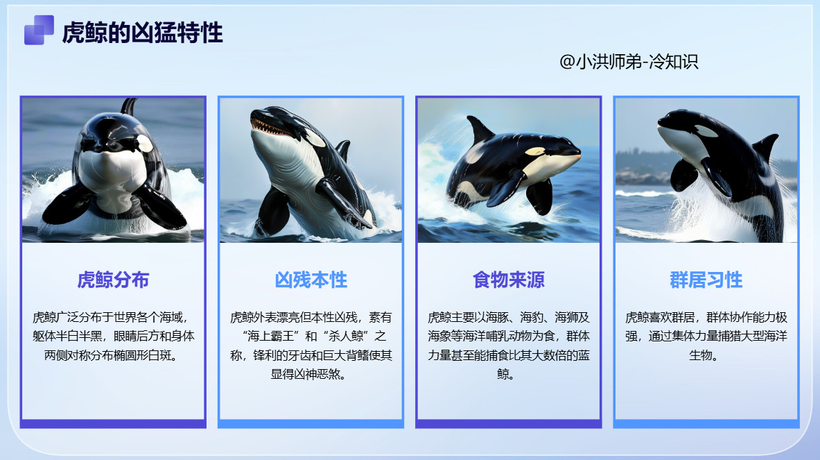 最凶猛的海洋哺乳动物世界上最凶猛的海洋哺乳动物是虎鲸。虎鲸在世界各个海域都有分布