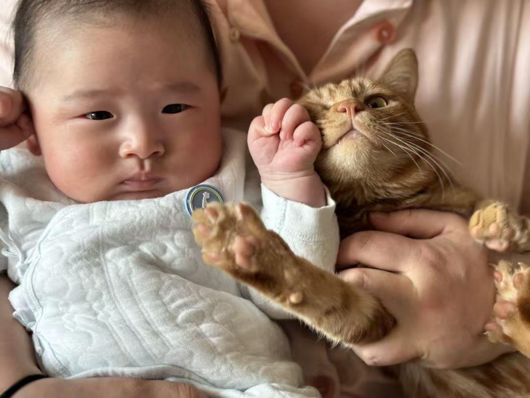 我家橘猫在家里唯一的朋友就是我的娃，难道是因为看着她长大的吗？  🐱...