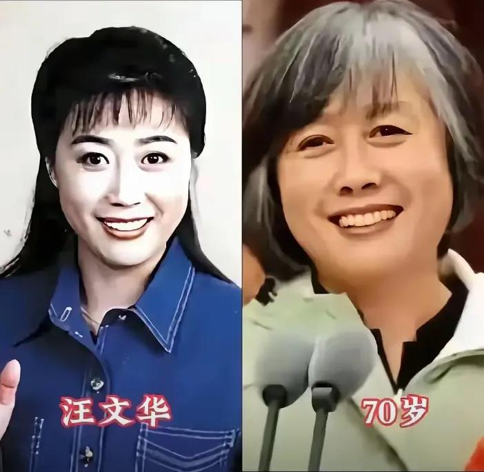 已经不在央视了的汪文华。已经不在央视的邢质斌。已经不在央视了的李修平。已经