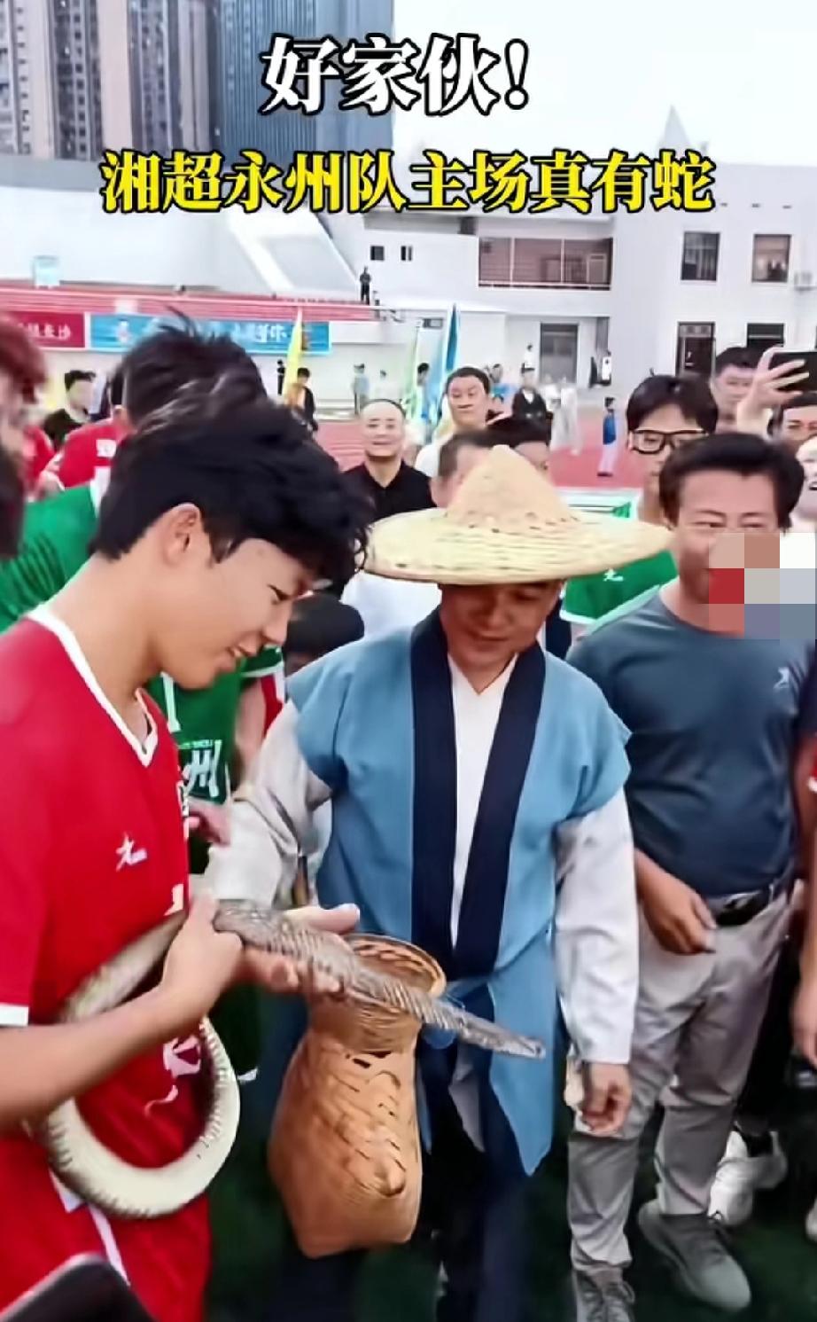 湘超永州主场真的有蛇，而且真的和课本上说的一模一样:黑质而白章！明天永州新体育