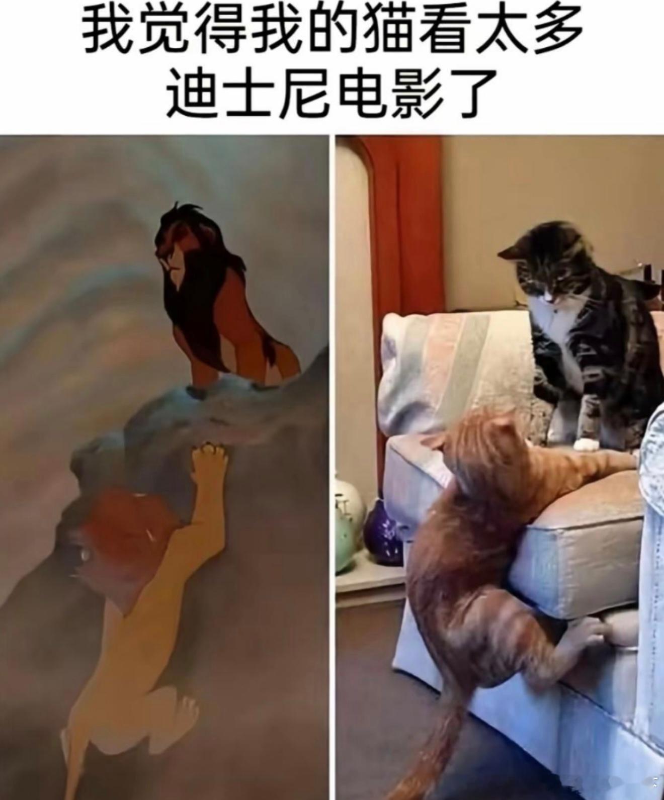 6405咋整一直要模仿