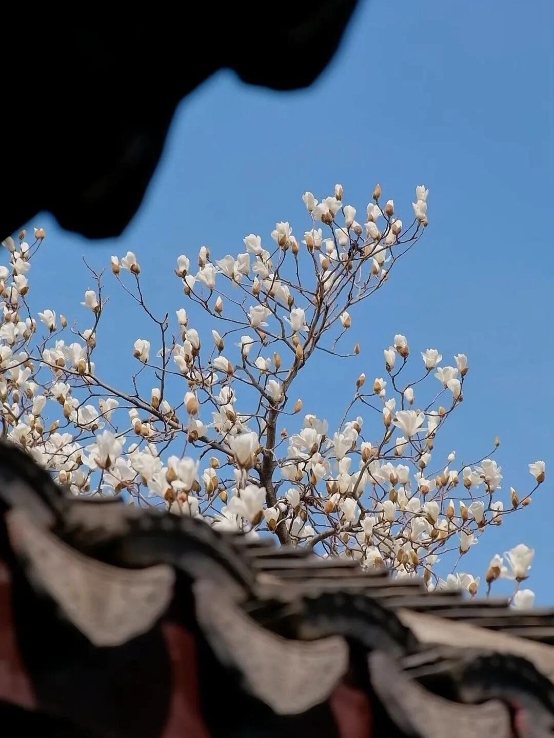 说句大实话，晚年生活，真不应该是“熬”时间，应该要实打实地“过”生活。我觉得核心