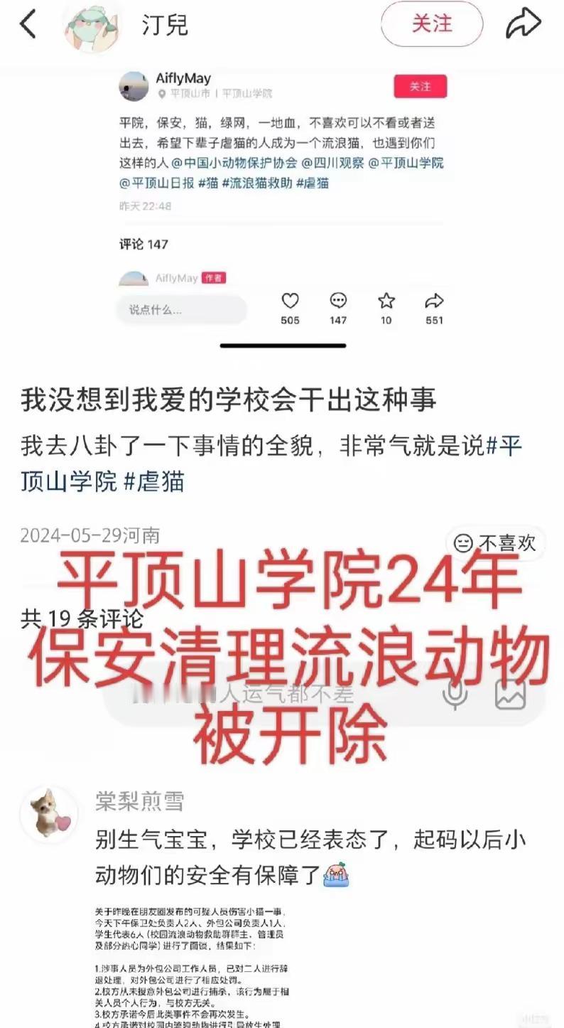 为何学院里的流浪狗无人处理？原因是负责处理流浪动物的人员在24年就被开除了！