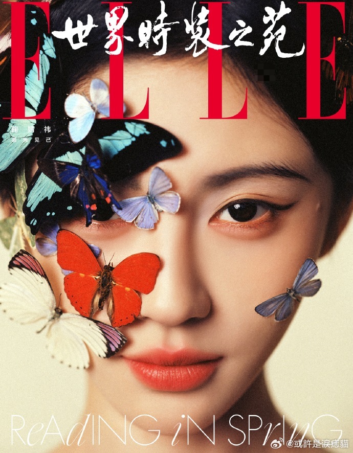 ELLE连发15条鞠婧祎真的第一次见杂志这样官宣，ELLE首创十五条连发新模式