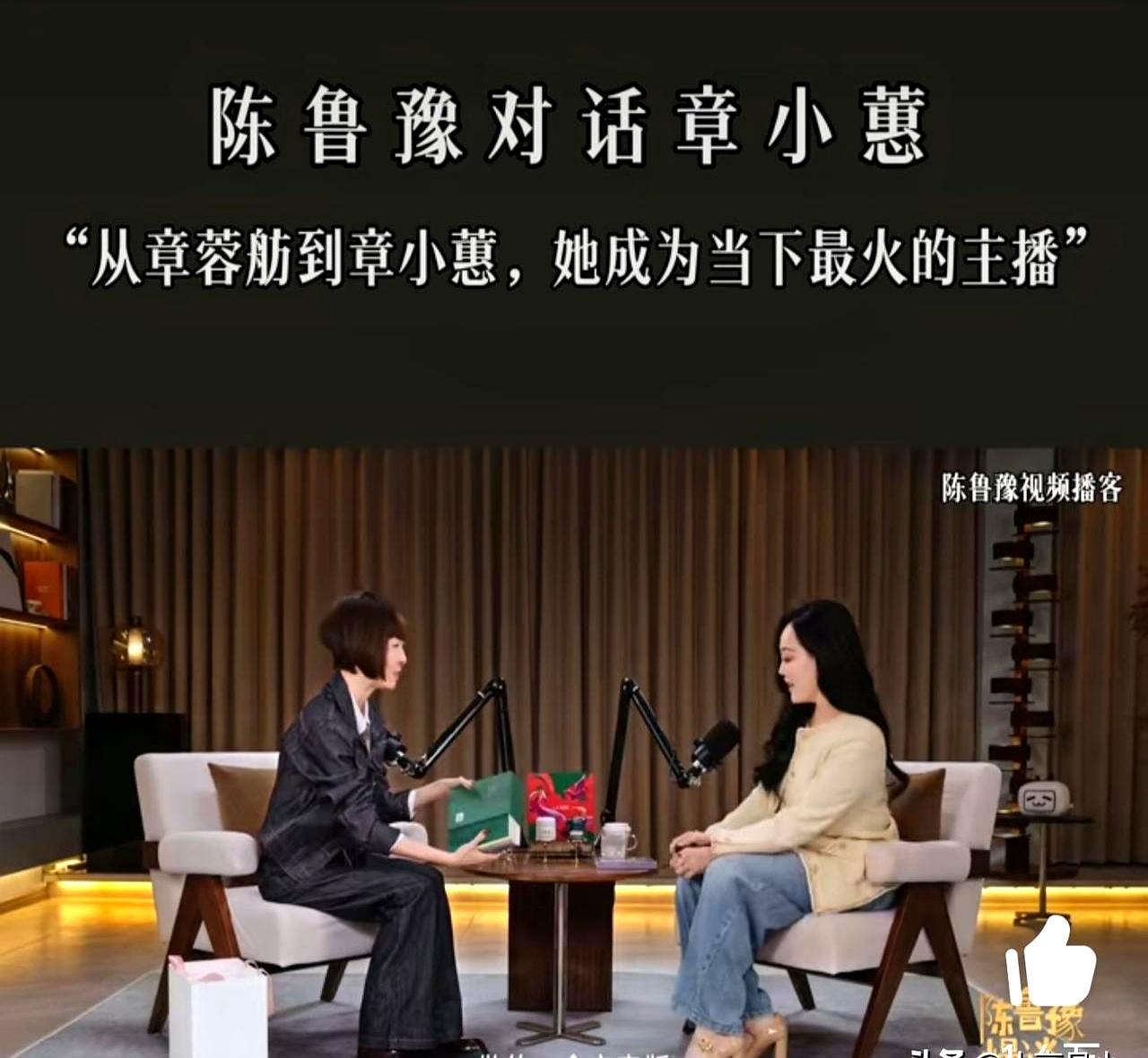 62岁的章小蕙在《陈鲁豫·慢谈》里一句话把人打穿：衣服就是我的充电宝。当年