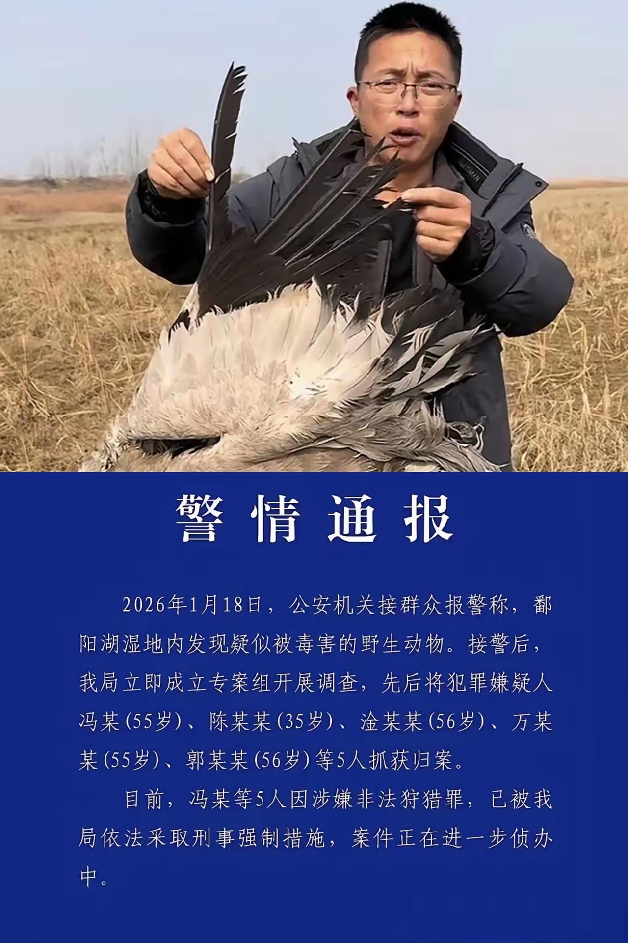 真不知道有些人脑子里装的啥！鄱阳湖那边毒害一百多只国家一级二级保护鸟类，为了