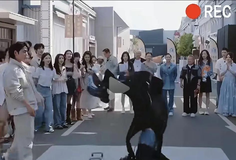 有网友感概：向华强陈岚都那么聪明，为什么向佐……可能是因为祖坟的青烟不能一直冒