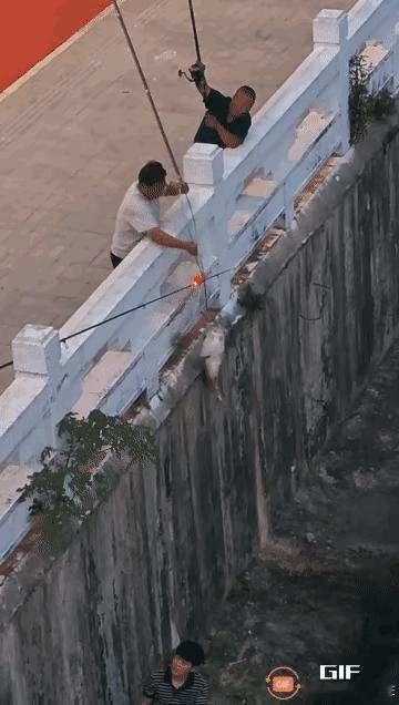就这一下，这兄弟只要不是要他的命，其他都可以答应。