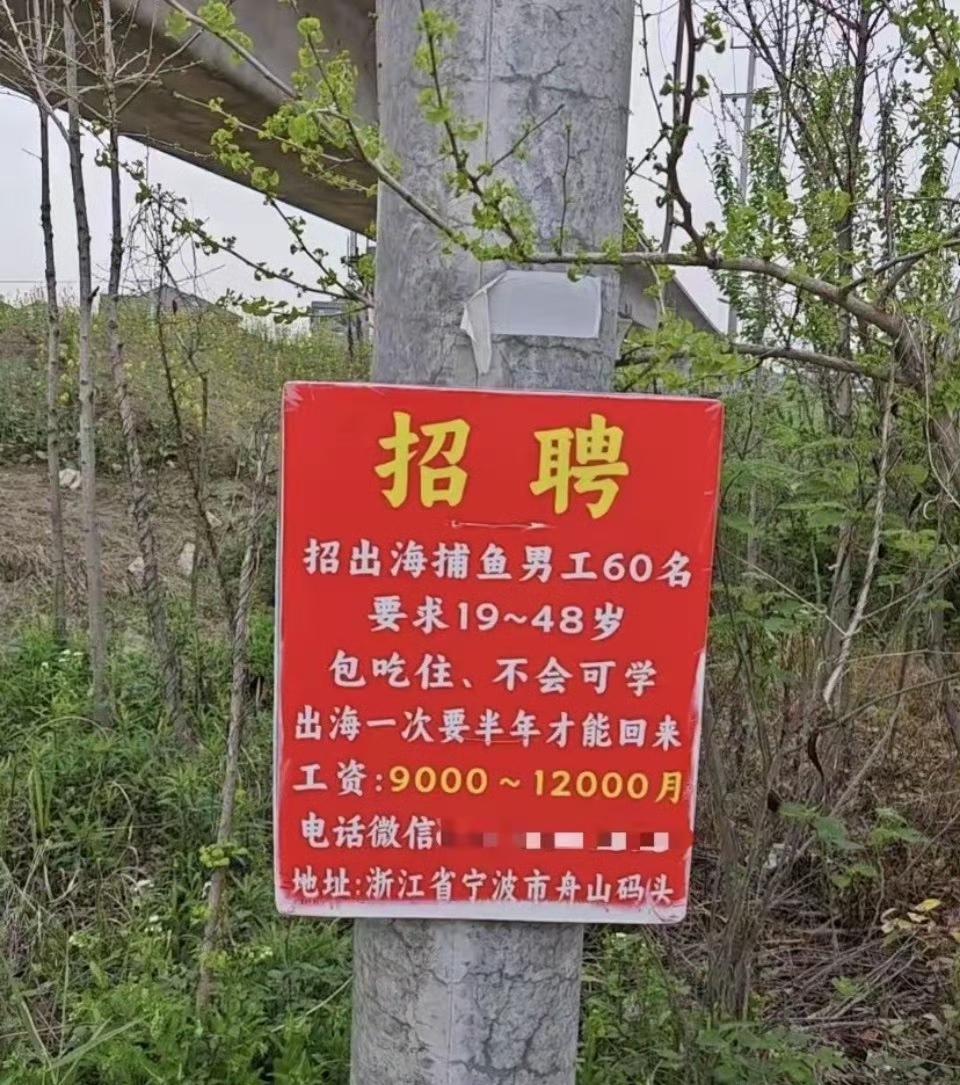 有人认为这则招聘启事不靠谱，骗人的，不过去非倒认为可信度还是蛮高的，出海捕鱼是非