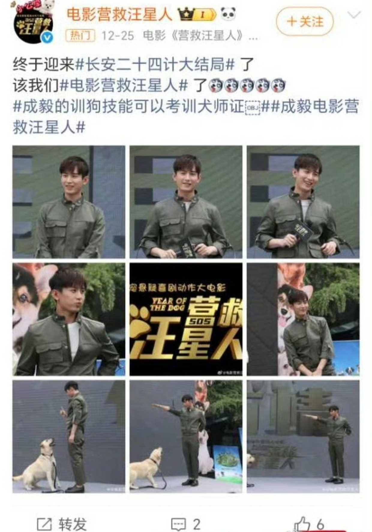 定档了没，等着看乐子呢