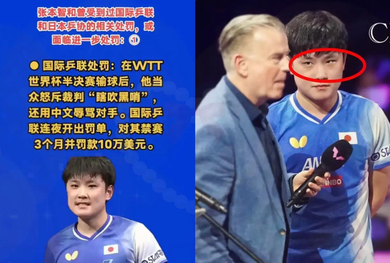 禁赛三个月、罚款十万刀张本智和这一脚算是把刹车当油门踩到底了。裁判提醒一句，他