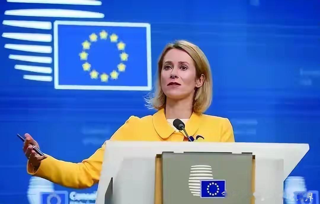 中国刚对日祭出反制大招，暂停水产进口、发旅游提醒，日本企业亏得直跺脚，欧盟外长卡