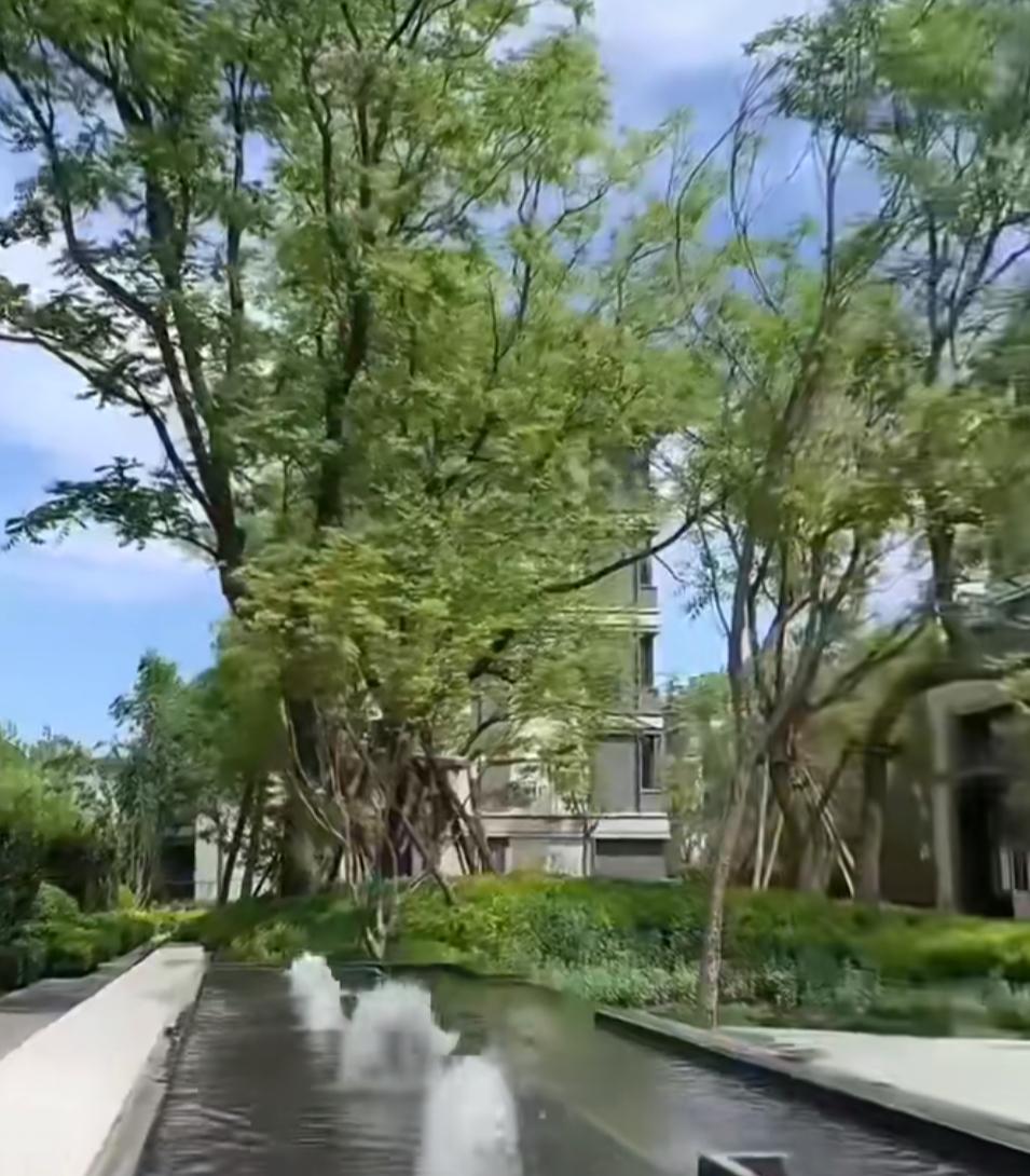 别被中介忽悠了，北京小阳春真相，90%的人都看不懂！今年北京楼市小阳春热度确