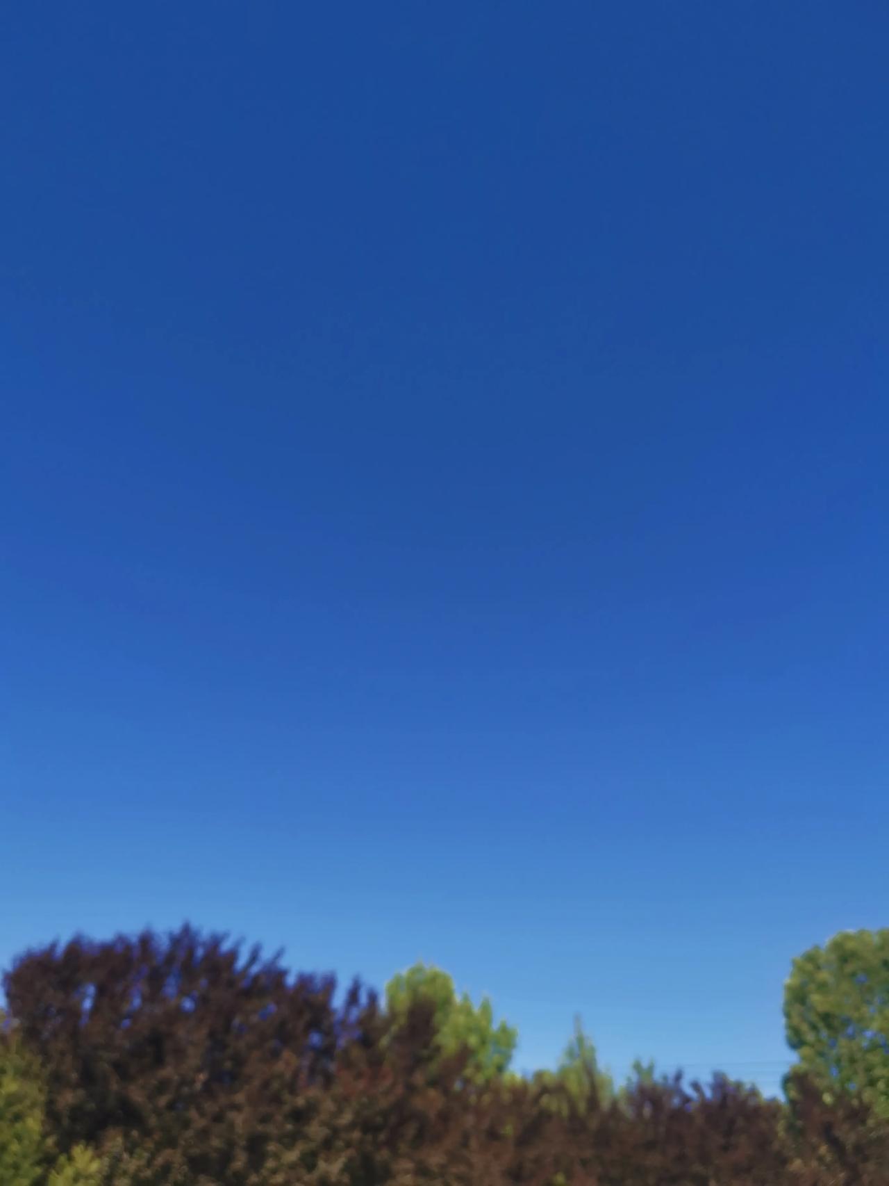 今天真热，夏天来了！