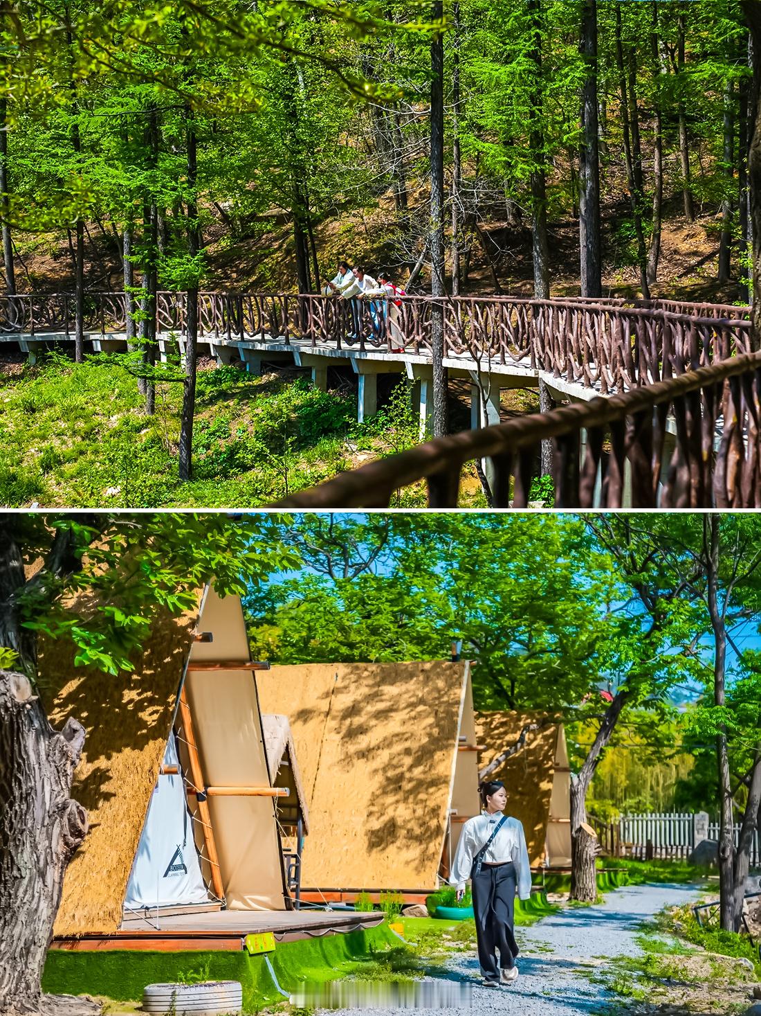 山东五一遛娃好去处｜沂蒙山龟蒙景区五一城市深探索计划登蒙山天地宽 沂蒙山龟蒙景区