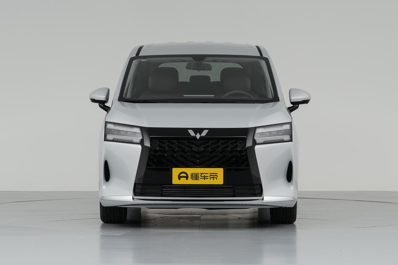 五菱星光730，就冲它宣传的“三排都能坐”，我没看配置表，直接拉上我爸妈、妹妹和