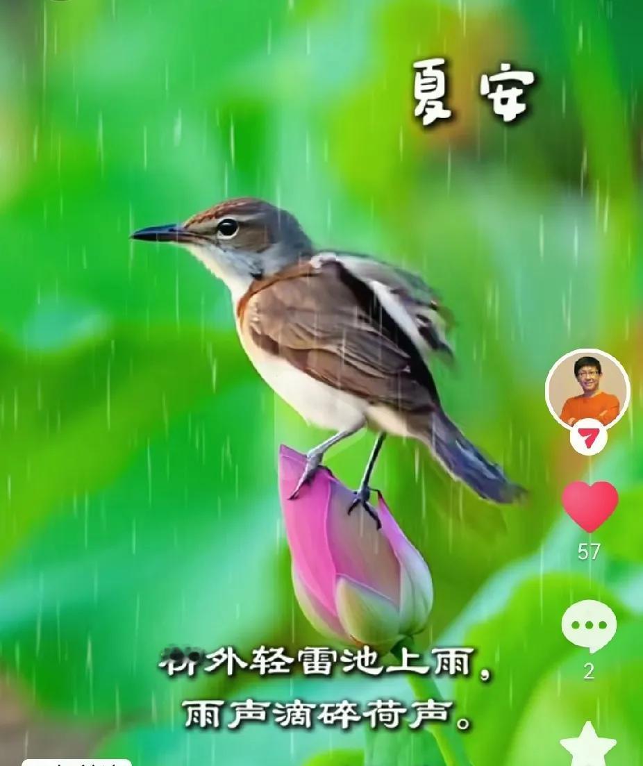 巡视组再次出发，目标其实很明确，不给贪墨栖息地，无论是新账旧事，出来混迟早要还，