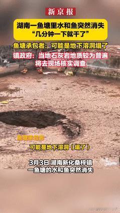 “这谁顶得住？”湖南新化，一鱼塘突然张开“大嘴”，把200多斤的鲤鱼“吞了”！不