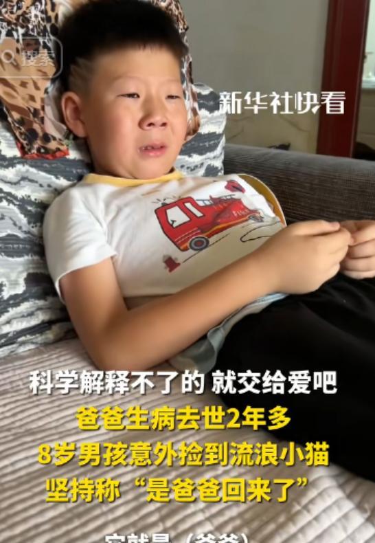 “科学无法解释！”河南，一父亲因病去世后，儿子晚上做梦，竟然梦见爸爸变成了一只猫