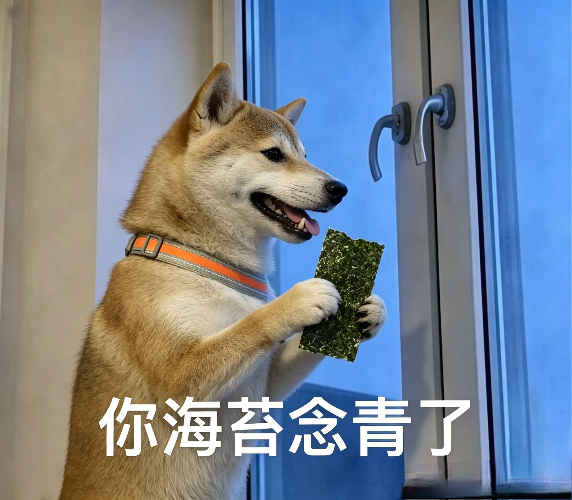 微信迎史上最大更新微信终于开始大更新了。很多人天天吐槽微信不好用，但真要换一