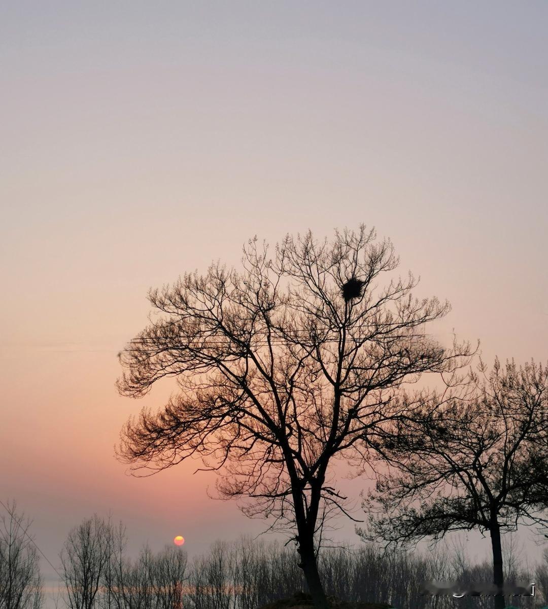 今年冬天的不同偏暖显著+冷暖急转+区域反差大，叠加弱拉尼娜与全球变暖影响：