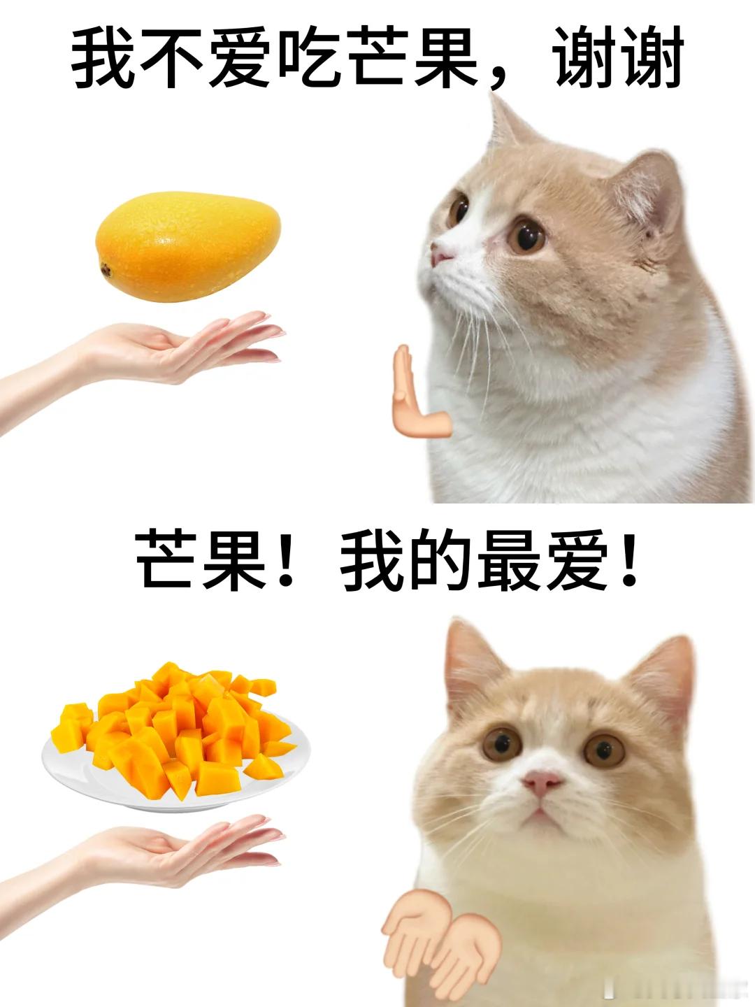 我对食物就是这么双标……美食日常