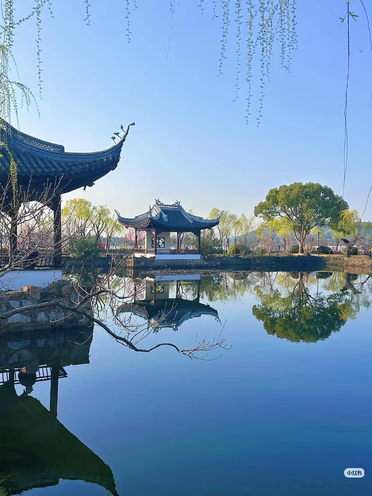 一位养生专家说:绝大多数长寿老人，晚年都有一个共同特征：心里只有自己。