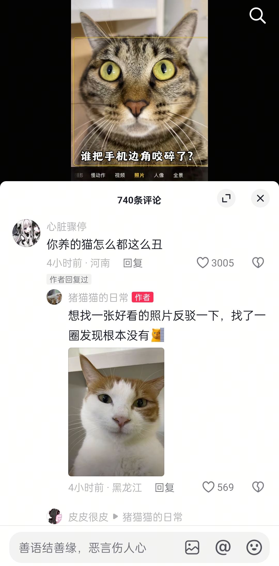 怎么都这么丑