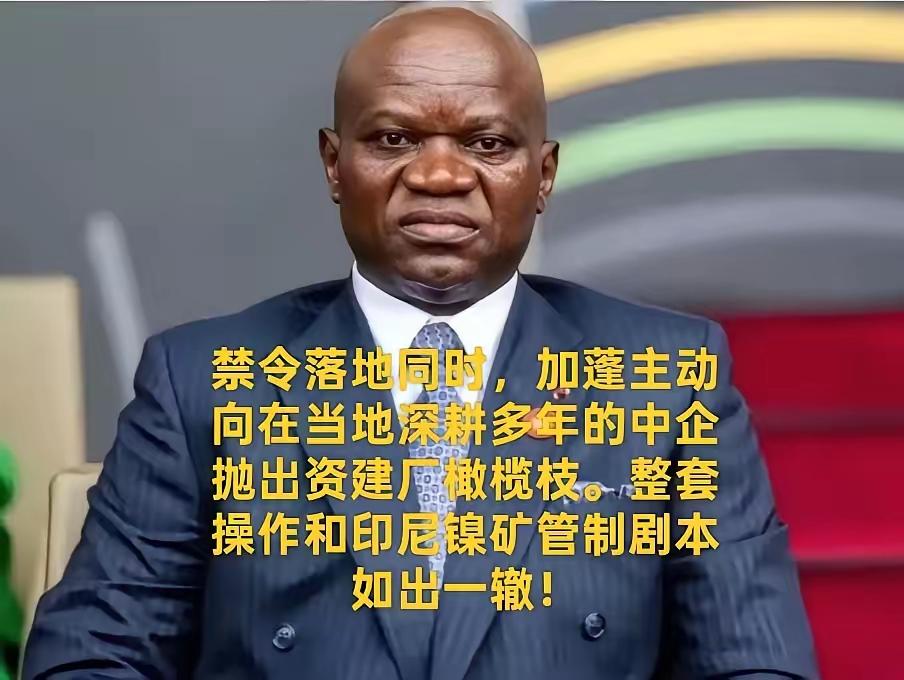 照搬印尼镍矿套路！加蓬叫停锰矿原矿出口，逼中方交出核心冶炼技术！禁令刚落地，加蓬