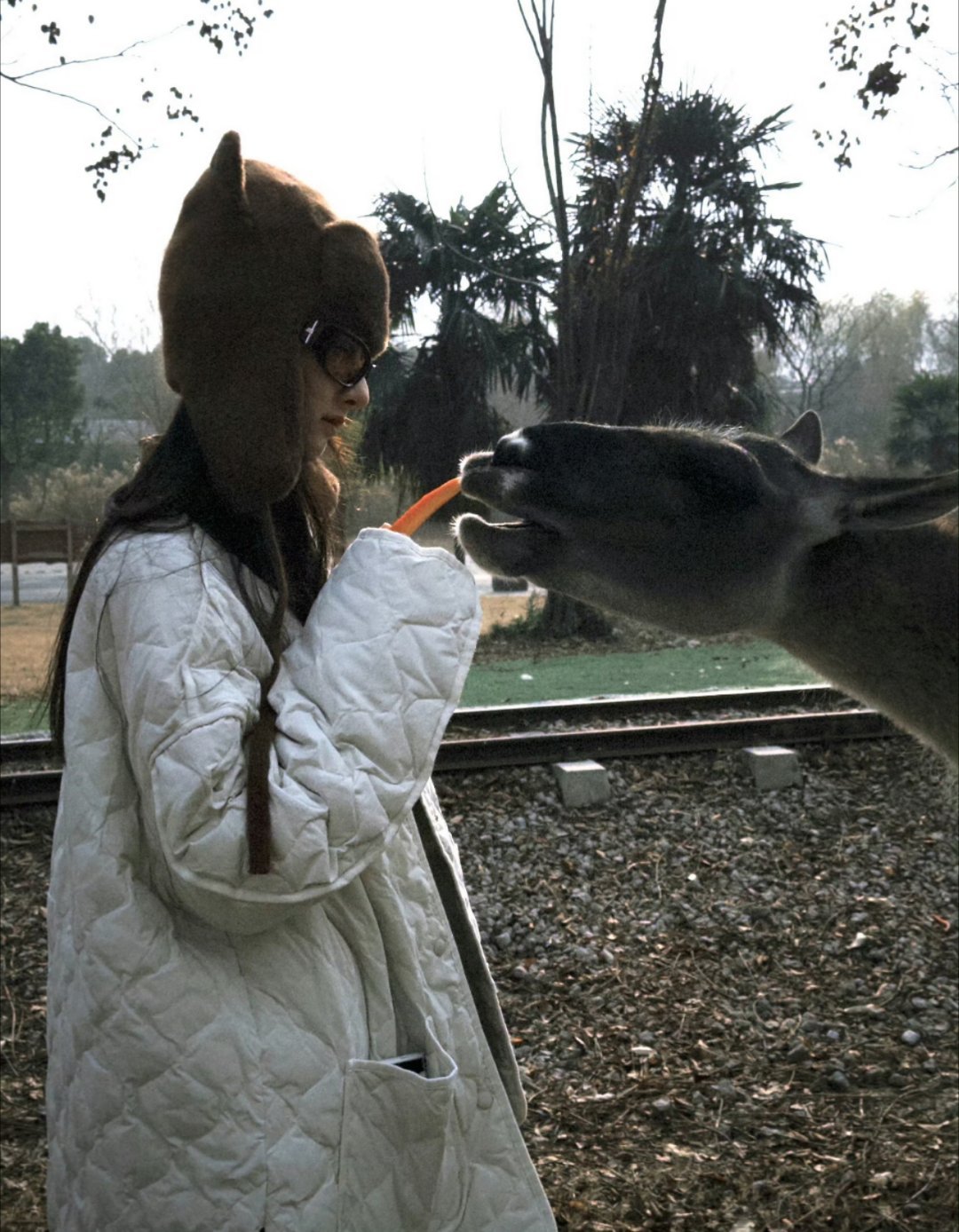 宋祖儿今年特别圆满呀！2026也更顺更开心！新年快乐😚