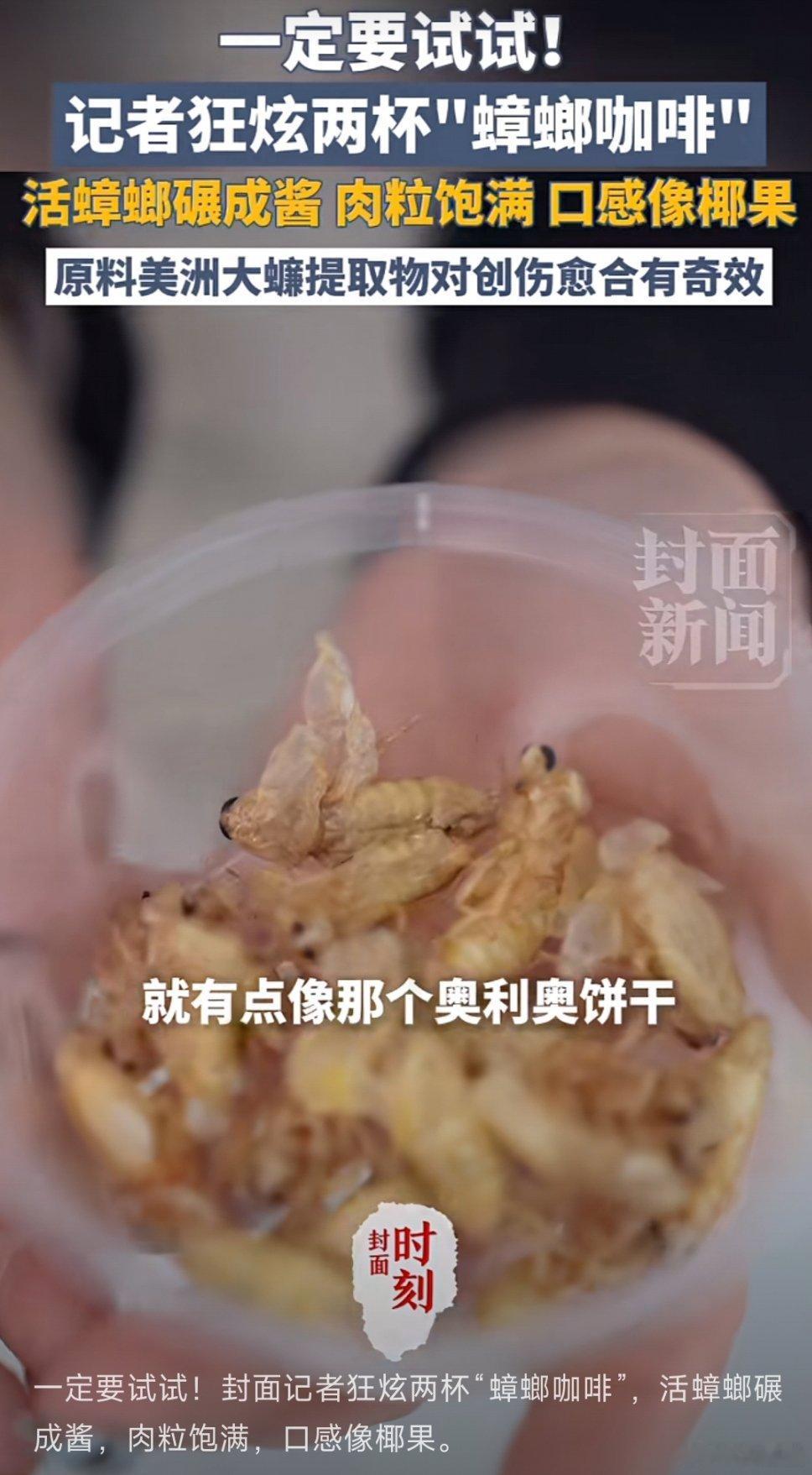 这位记者朋友太勇了！「蟑螂咖啡」，我一个什么都吃的广东人都觉得变态，她居然直接一