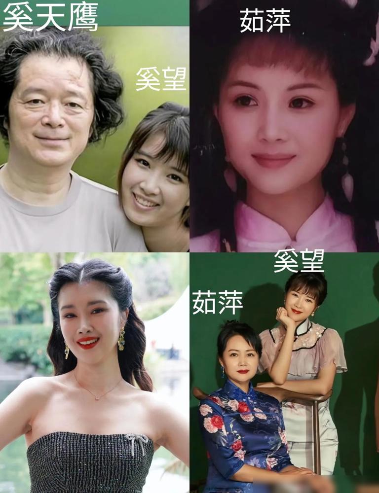 母亲哭着劝她别离，继父刘之冰却把桌子一拍：离！孩子我带！很多人都以为，奚望