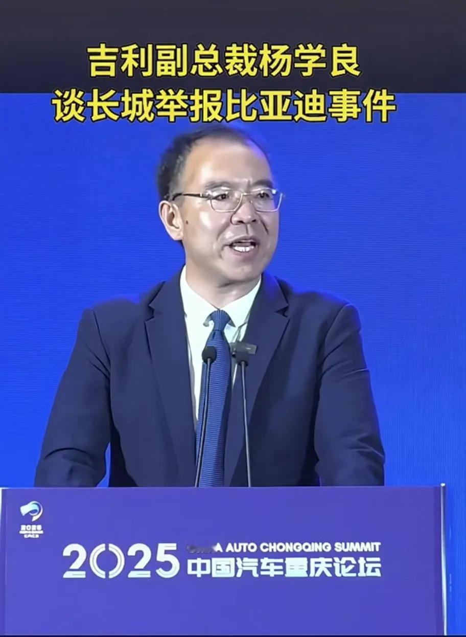 汽车行业有点乱，长城、吉利一起向某迪开炮。长城的魏建军说“汽车行业的恒大出现了