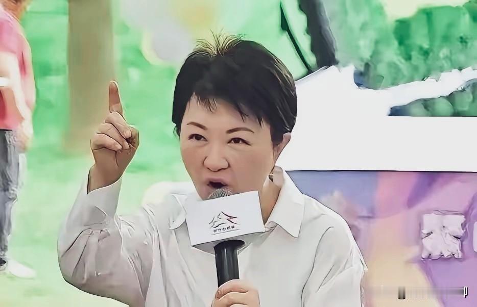 原以为赵少康是台湾在野阵营亲美势力的总代表，哪曾想，真正的王者是台中市长卢秀燕。