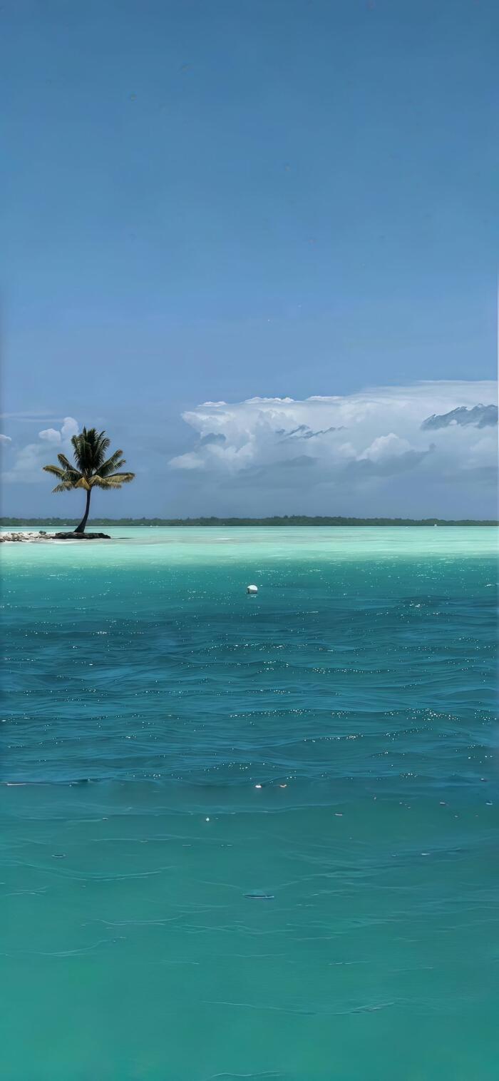 这才是我们普通人的顶级思维看似不要脸的人成事最快不要脸虽然听起来很庸俗但