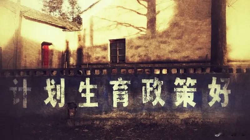 放开二孩政策后，生育率不升反降，背后存在诸多原因。经济压力是一大关键因素。以上海
