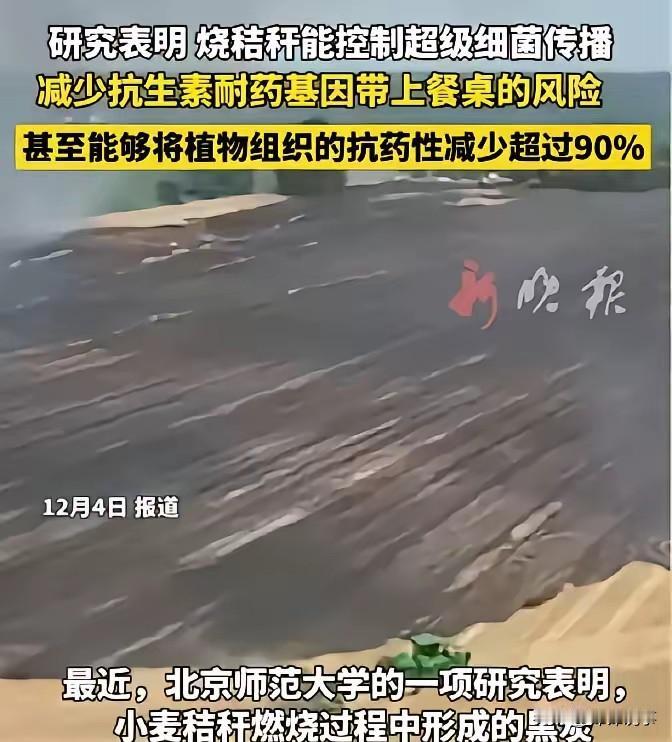 秸秆焚烧政策最近迎来大反转！北师大研究实锤，在控氧环境下烧秸秆产生的黑炭，能吸附
